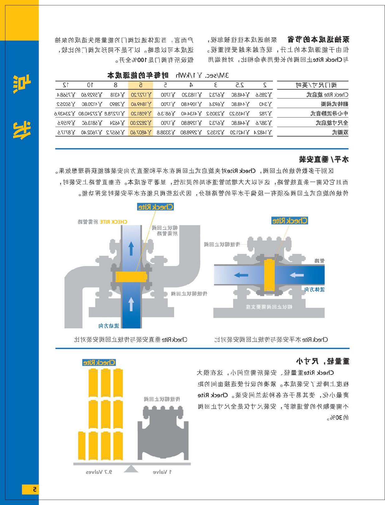 Bray/Rite对夹旋启式止回阀优点2